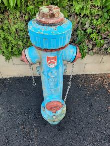 Hydrant rinnt