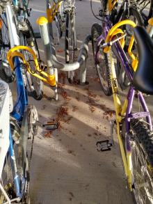 Verunreinigung Bike&Ride