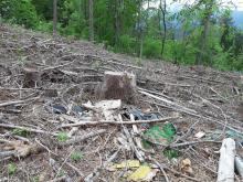 Müll im Wald in Kranebitten- Nähe Standschützenkaserne bitte um fachgerechte Entsorgung 