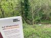 AW: Transparent Mischwald liegt im Graben