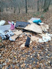 Müllentsorgung im Wald