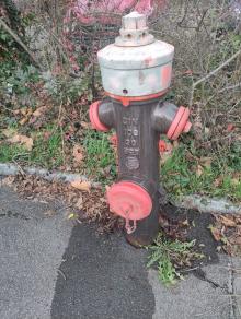 Hydrant rinnt